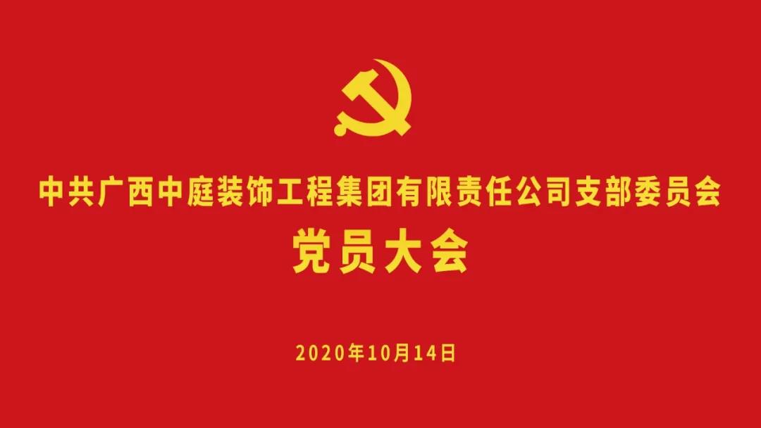 两新组织丨中庭集团党支部增补新委员